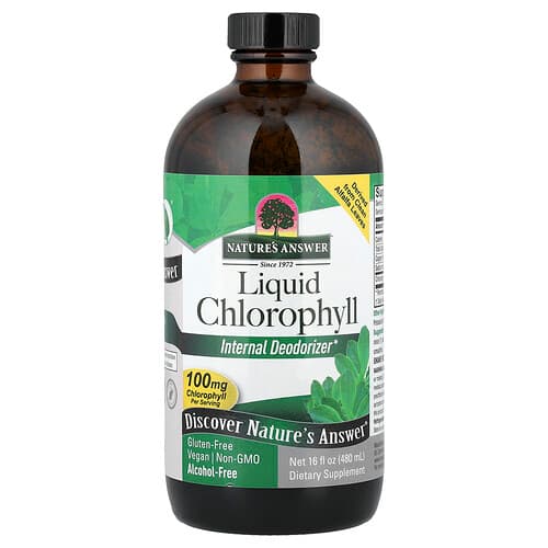 Nature's Answer, Liquid Chlorophyll, Alcohol Free, 16 fl oz (480 ml)